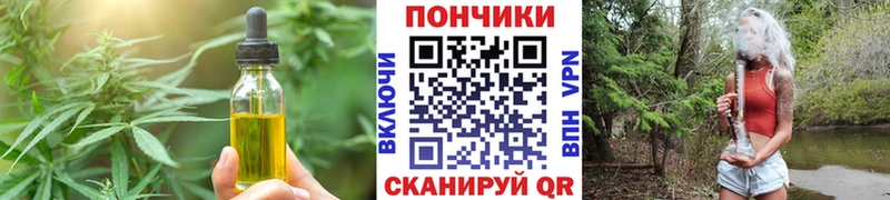 OMG ссылки  Кашин  Еда ТГК конопля 