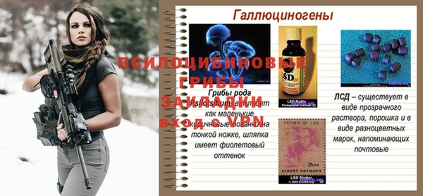 ПСИЛОЦИБИНОВЫЕ ГРИБЫ Мегион