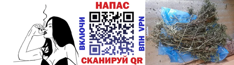 Шишки марихуана сатива Кашин